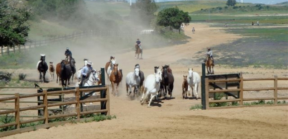 Ranch riding in Andalucia 